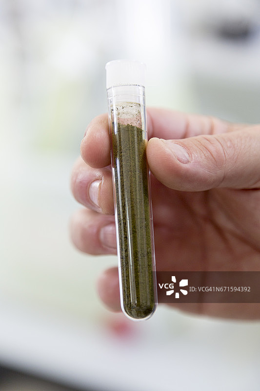 用作肥料的微藻图片素材