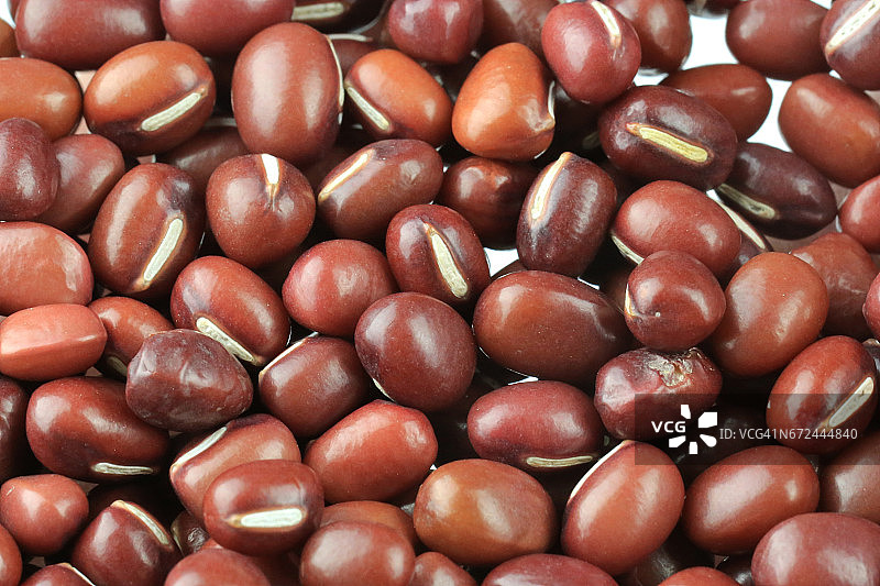 亚洲红豆特写图片素材