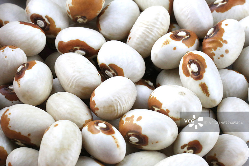 黄眼斯图本豆（菜豆）全画幅图片素材