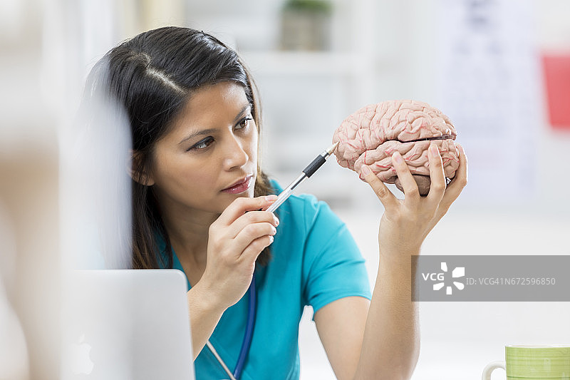 女医学生检查人脑模型图片素材