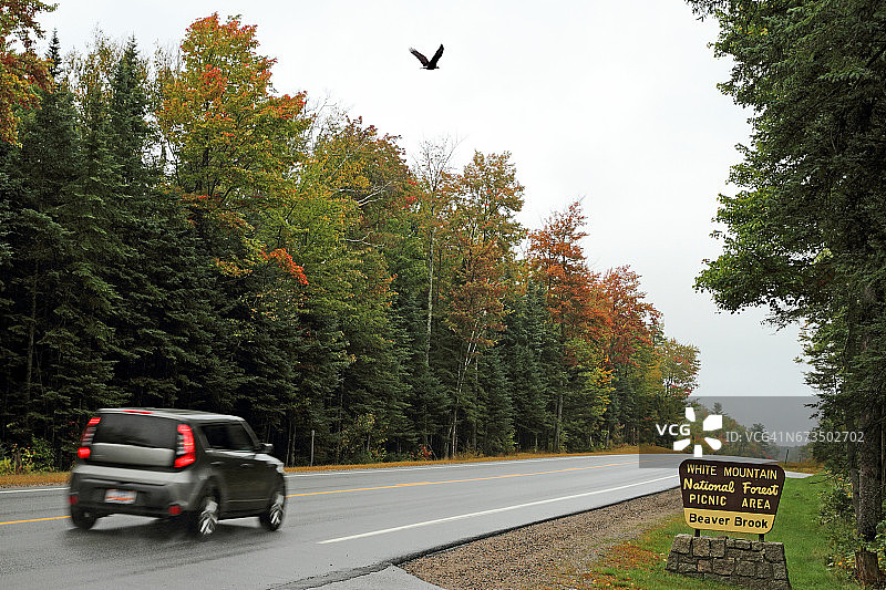 秋季美国新罕布什尔州公路上的汽车图片素材