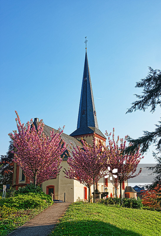 德国林茨莱茵河畔的圣马丁教堂图片素材