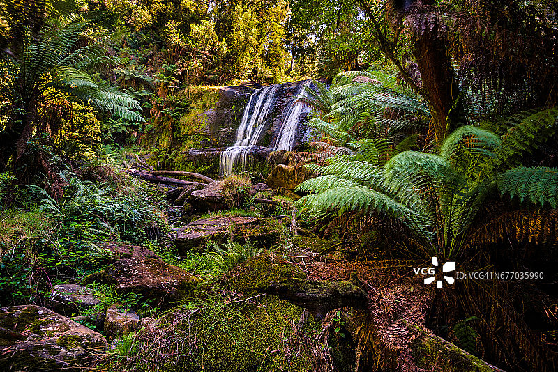 维多利亚州大奥特威国家公园的三重瀑布图片素材