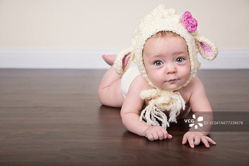 复活节羔羊宝宝图片素材