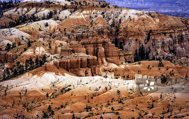 美国犹他州布莱斯峡谷国家公园的石柱图片素材