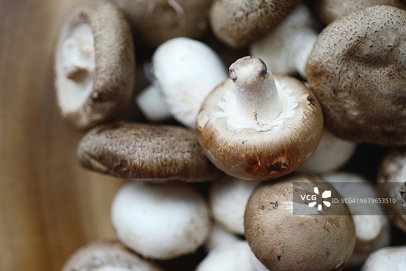 一堆棕色蘑菇图片素材