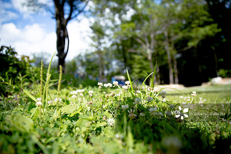 闪耀之美图片素材