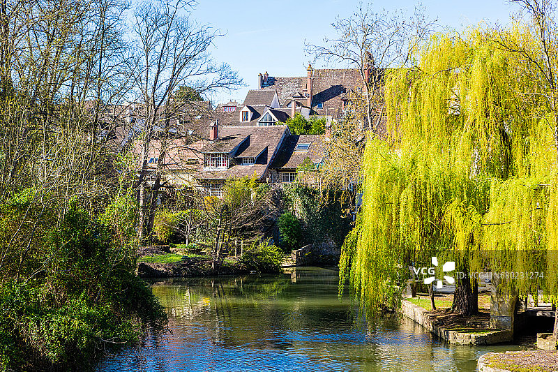 河边的绿色植物图片素材