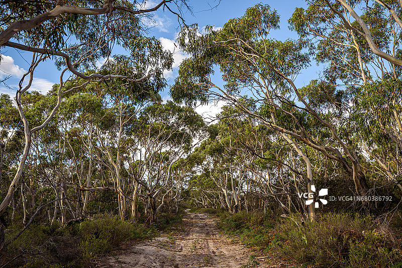 玛丽亚岛的法国农场内陆公路图片素材