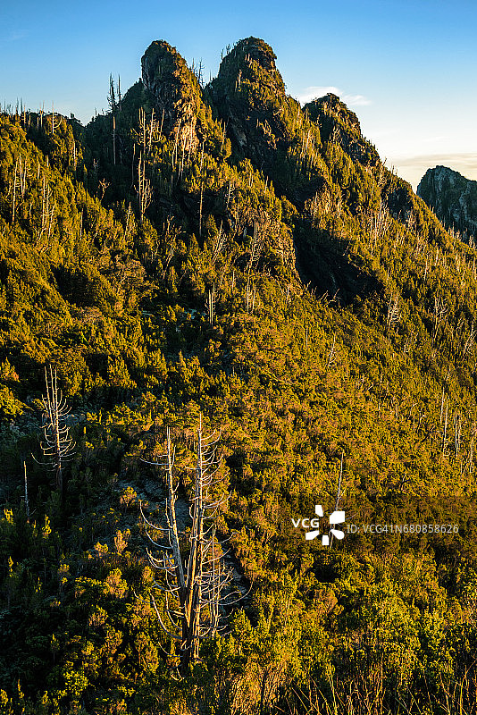 富兰克林-戈登野河国家公园的松树山（塔斯马尼亚）图片素材