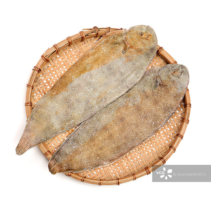 白色背景上的鳎目鱼图片素材