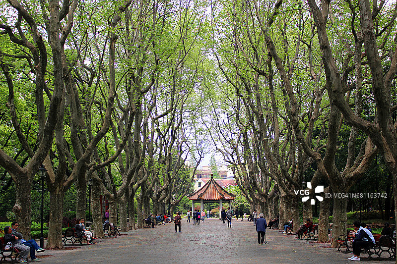 中国上海襄阳公园图片素材