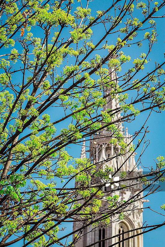 布达佩斯渔人堡教堂的树枝景观图片素材