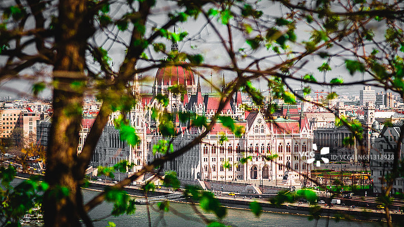 布达佩斯，透过树枝看到的议会大厦景色图片素材