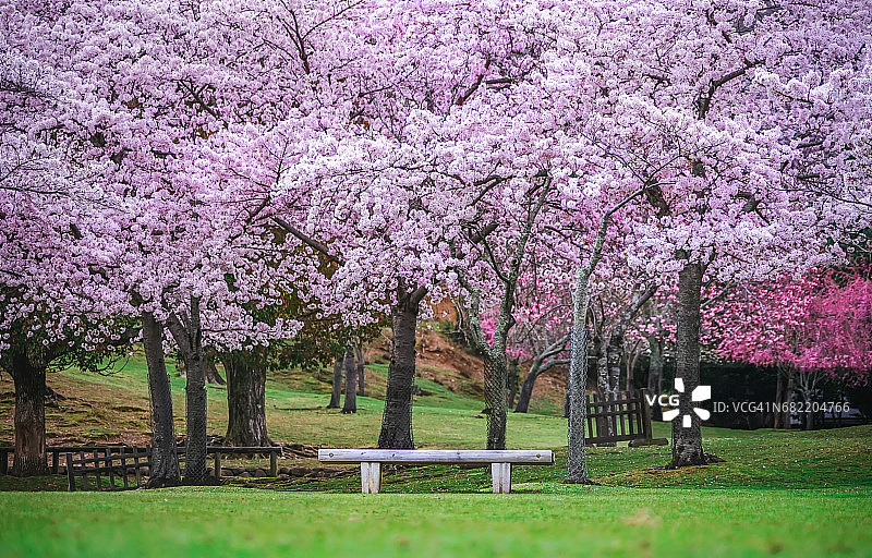 奈良公园图片素材
