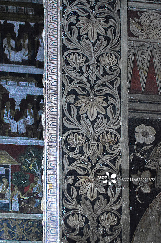 爬行植物设计（装饰艺术）图片素材