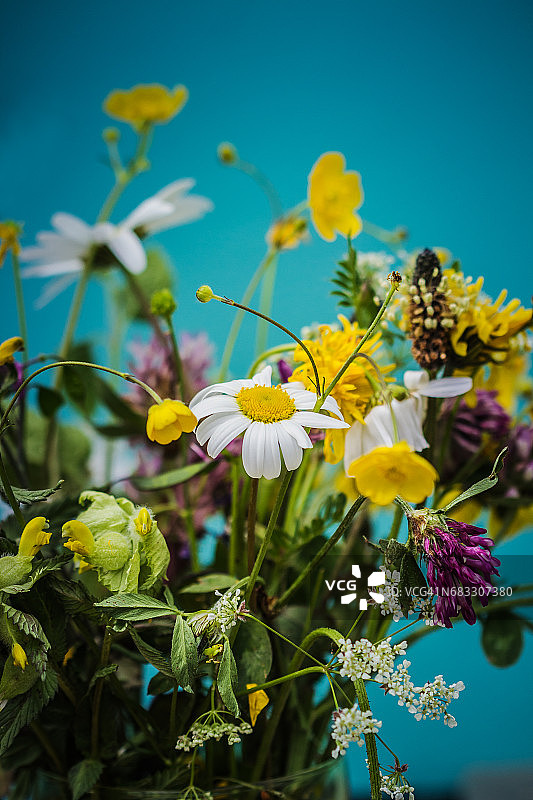 野花花束图片素材