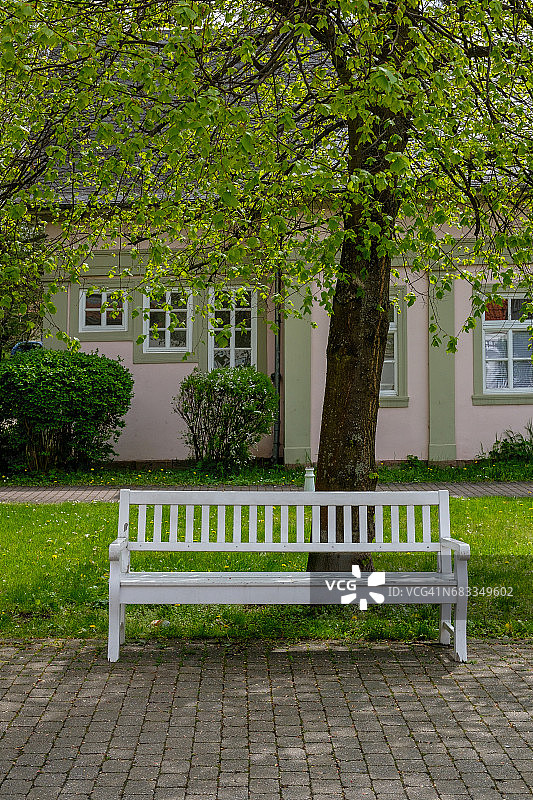 水疗公园中的银行和树木图片素材