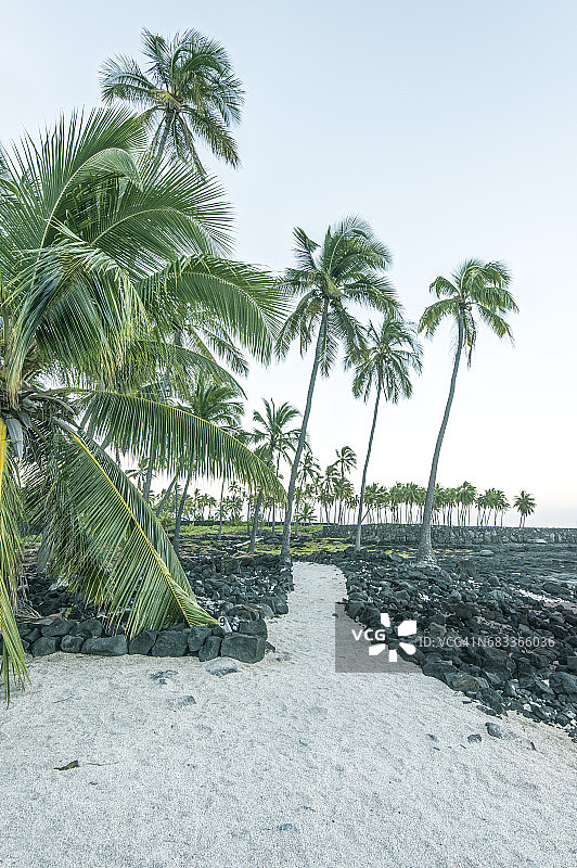 避难场所图片素材