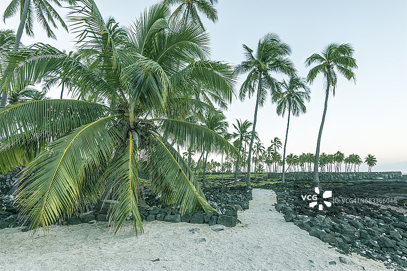 避难场所图片素材