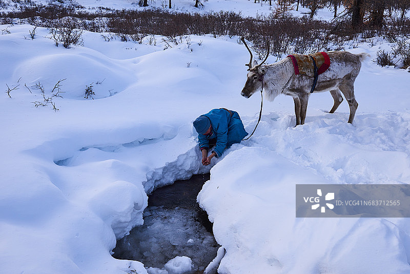 蒙古国查坦驯鹿游牧图片素材
