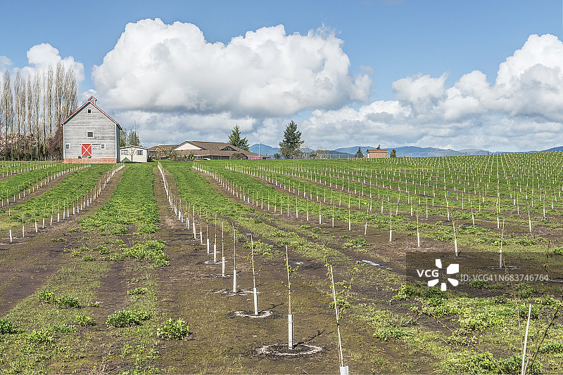 春季农田图片素材