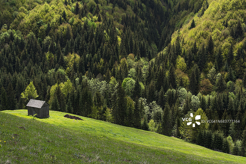 春天的风景图片素材