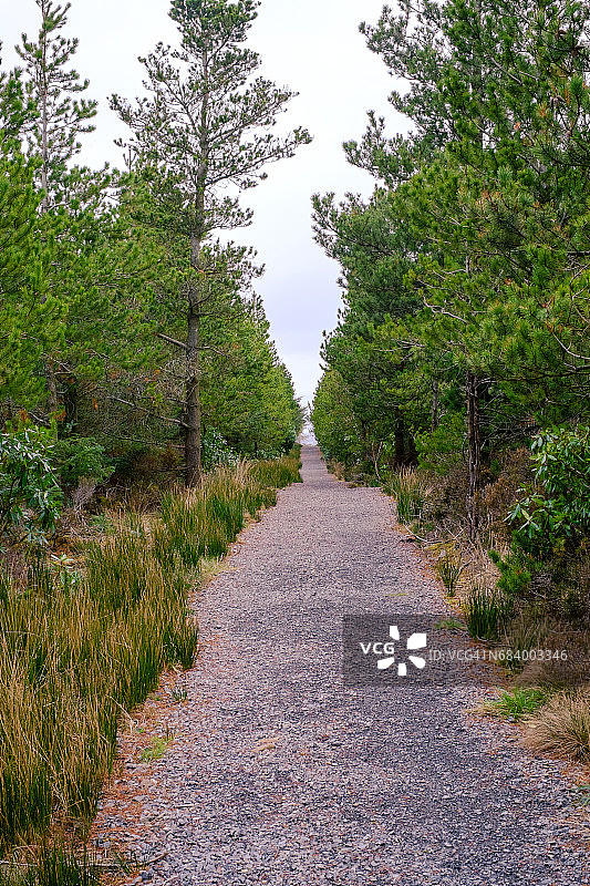 斯莱戈的小路图片素材