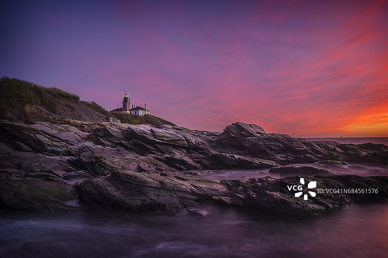 光芒四射的海狸尾图片素材