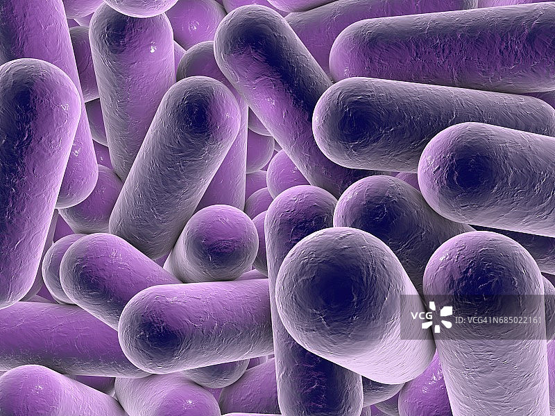 杆状细菌，图示图片素材