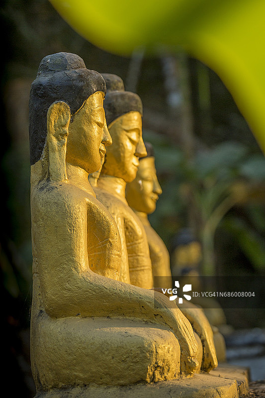 缅甸田野中的金色佛像图片素材