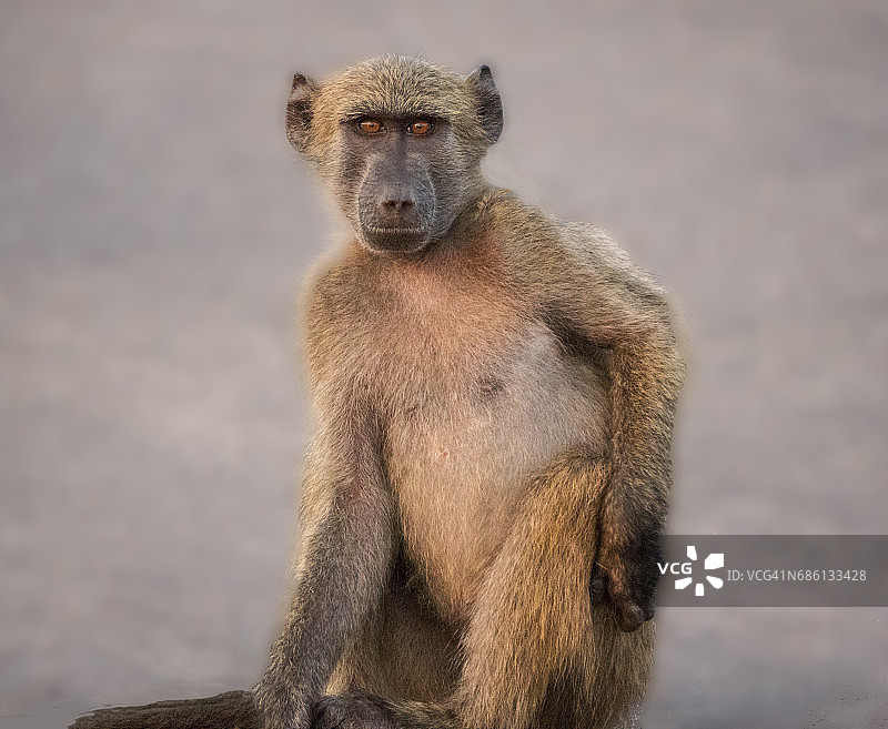 你在想什么？图片素材