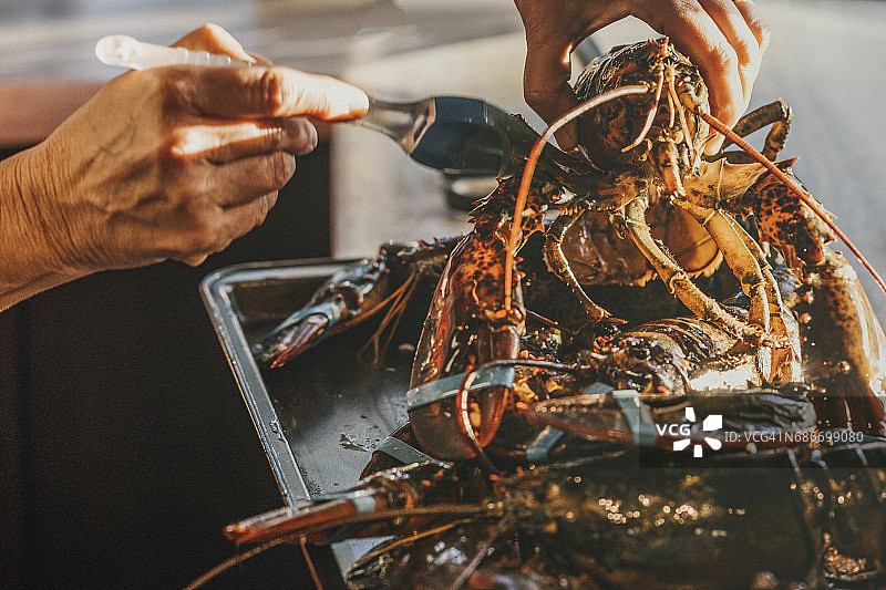 女性：烧烤前用刷子将橄榄油涂在加拿大龙虾上图片素材