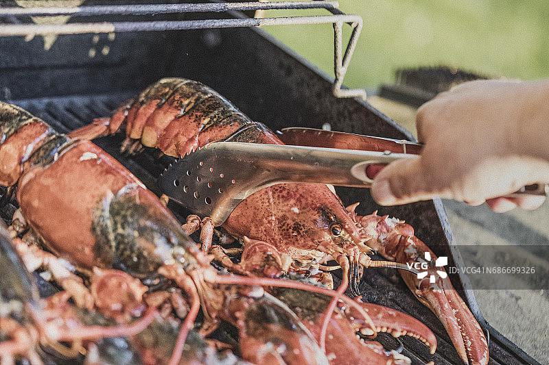 男人用金属钳在烧烤架上烤加拿大龙虾景观图片素材