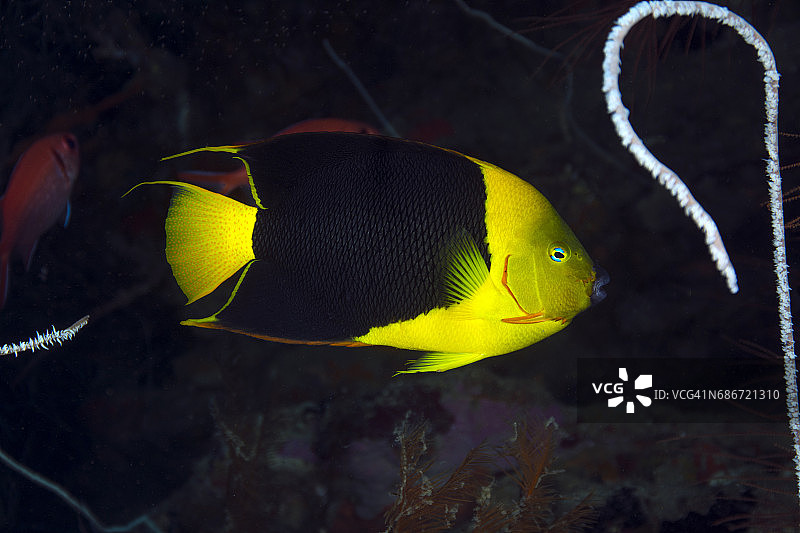 岩石之美图片素材