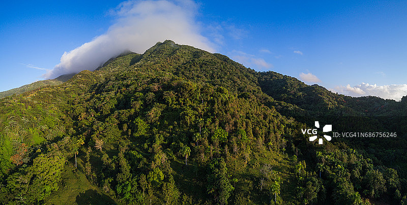 云雀国家森林图片素材
