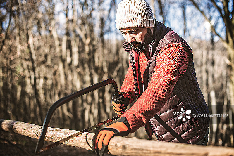 带着锯子的伐木工人在树林里图片素材