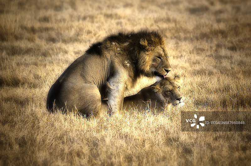 早安，宝贝！图片素材