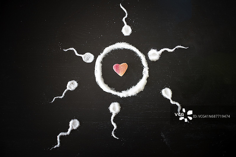 准备使卵子受精并创造爱意的精子细胞图片素材