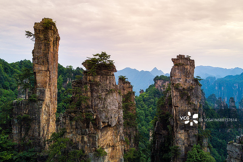 张家界国家森林公园风景，湖南，中国图片素材