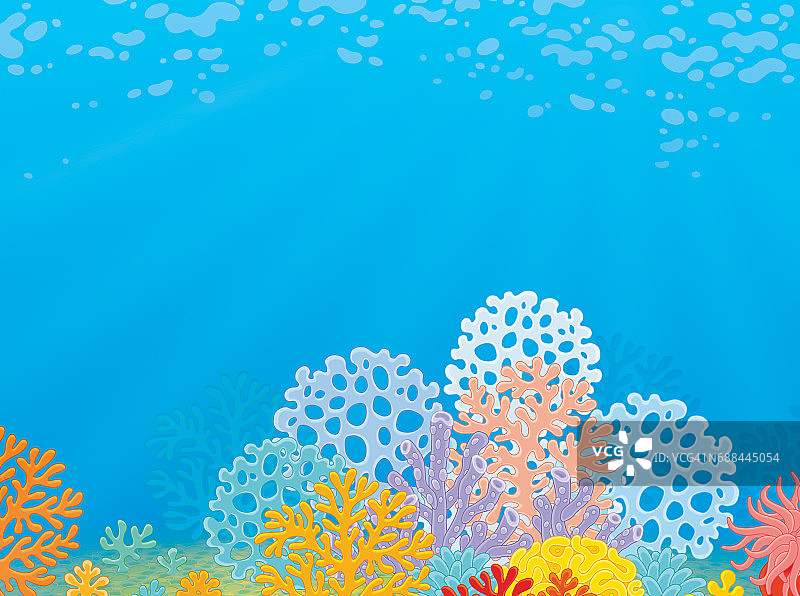 热带珊瑚礁图片素材