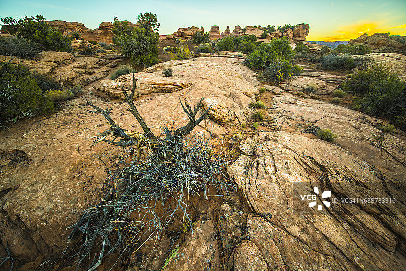 犹他州拱门国家公园日出时通往精致拱门的Trail小路图片素材
