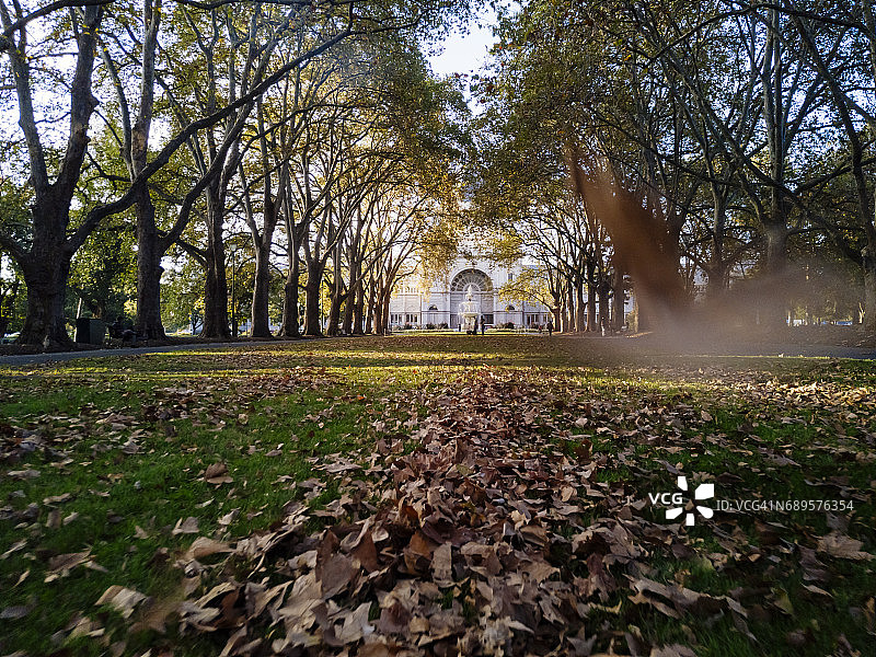 墨尔本卡尔顿花园的秋叶图片素材