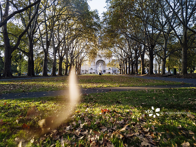 墨尔本卡尔顿花园的秋叶图片素材