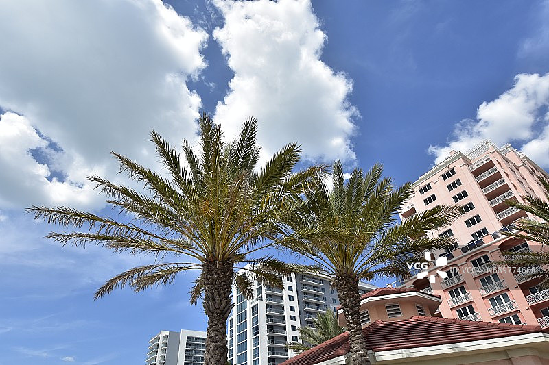 清水湾海滩的棕榈树、云彩和度假村（佛罗里达州）图片素材