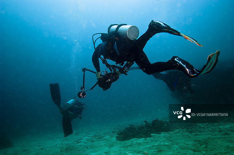 印度尼西亚西巴布亚岛拉贾安帕的海洋生物。图片素材