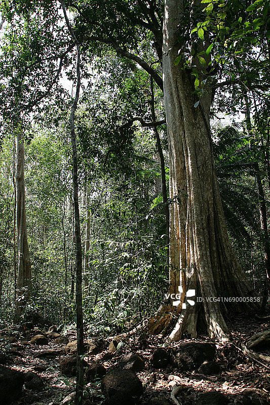 吉仙国家公园图片素材