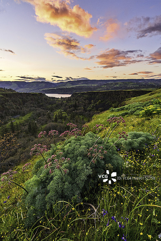 汤姆·麦考尔自然保护区日落图片素材