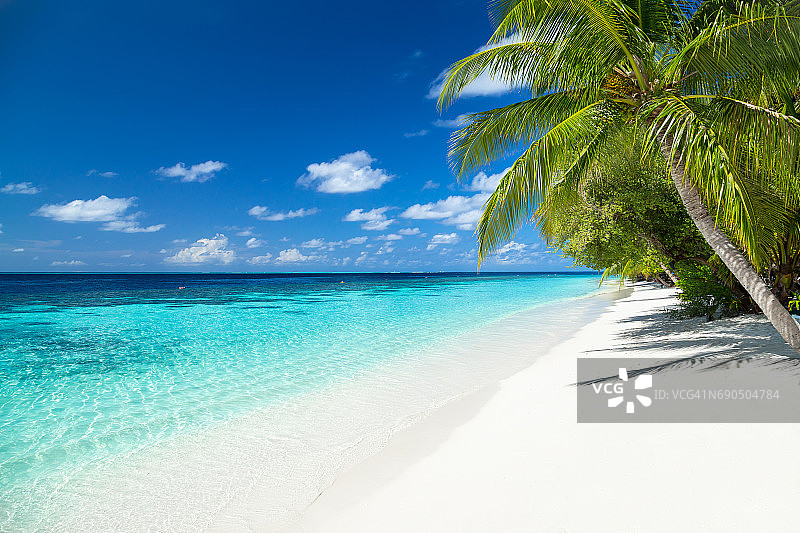 热带天堂海滩背景图片素材