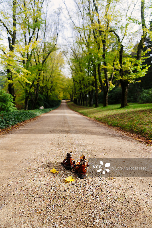 带有黄色树叶的旧登山靴，麦克唐山，澳大利亚维多利亚州图片素材